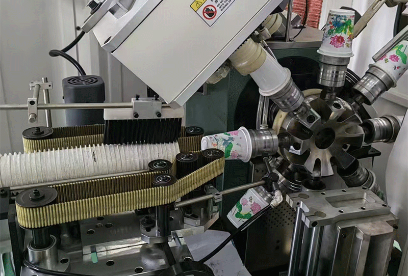 cup division and collection